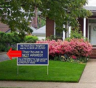 Ban all Guns