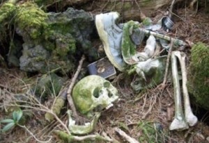 Aokigahara Jukai – Der Selbstmord Wald