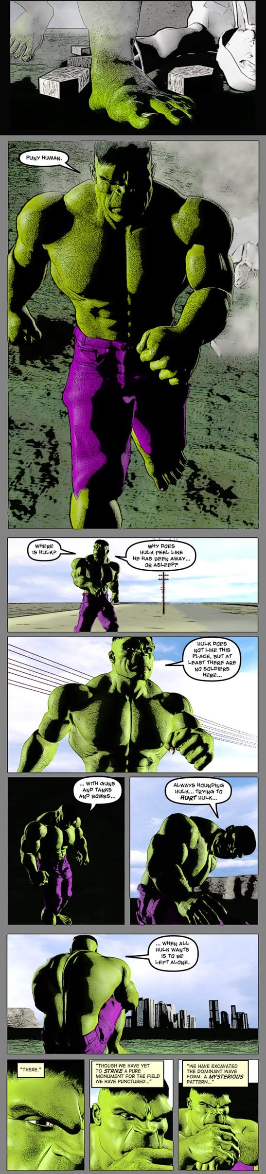 Hulk The Lonelyman