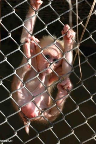 Monday's suck - just hang in there!!