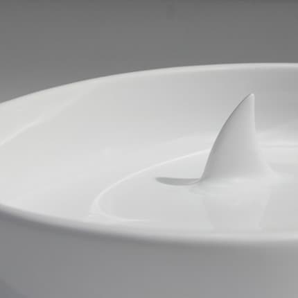 A shark in my soup 0 1 A shark in my soup 0 1