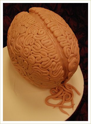 Anatomie Kuchen 02 Anatomie Kuchen 02