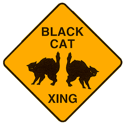 Black Cat Xing