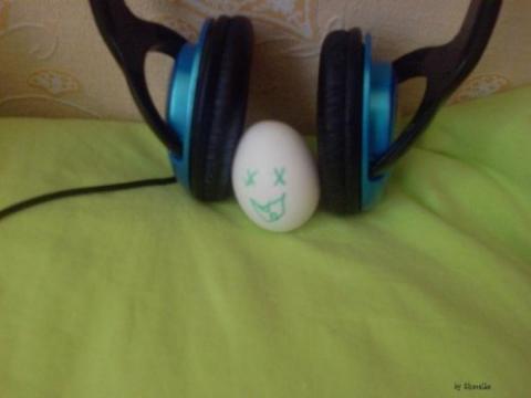 Aus dem Leben eines Ei's 02