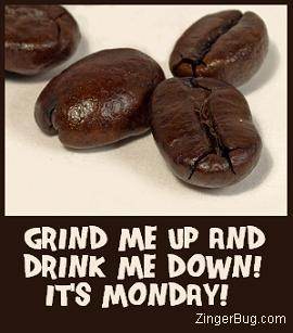 Monday Coffee Beans