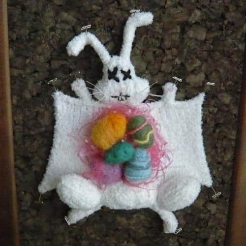 Anatomie Osterhase