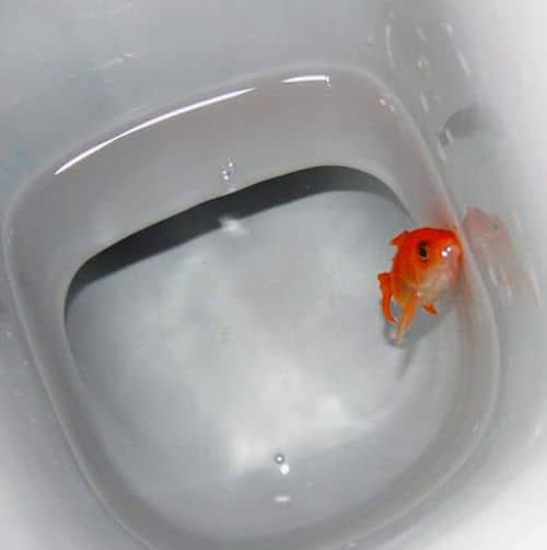 Monday Morning Feeling