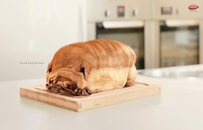 Brot zum Frühstück - wo ist den der Hund geblieben? Brot zum Frühstück - wo ist den der Hund geblieben?