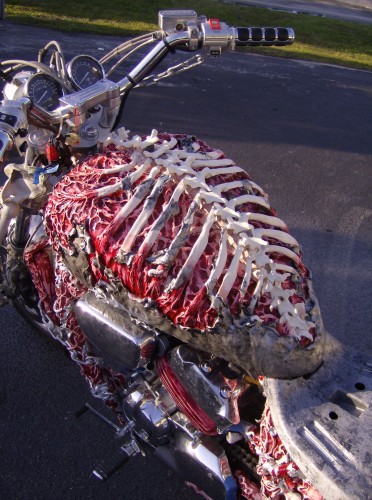 Skelet fiets