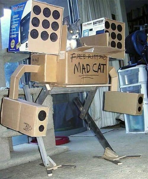 Mad Cat Mad Cat