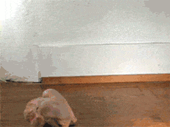 Neulich in der Küche