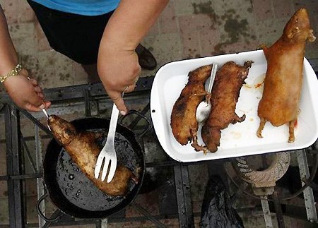 Zu Mittag gibts Fleisch Zu Mittag gibts Fleisch