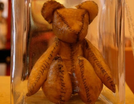 Placenta Teddy Bear