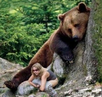 polowanie na niedźwiedziejpg