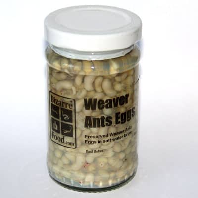 Gourmet canned ant eggs