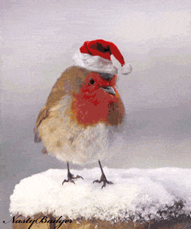 Scary Xmas Scary Xmas