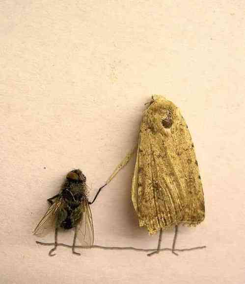 Spass mit Fliegen