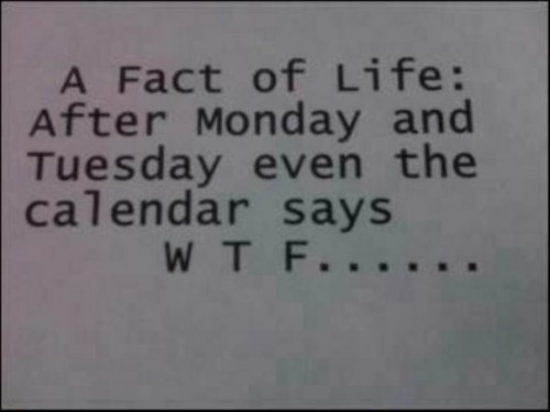 Monday WTF