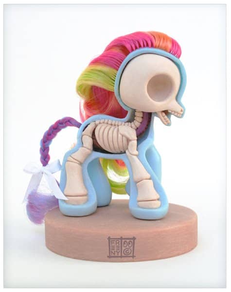 My little Anatomy Pony