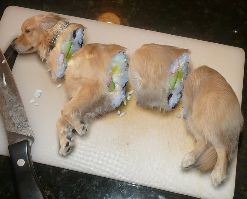 Der neuste Sushi Trend