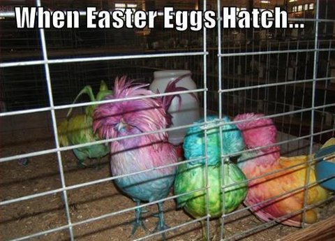 Cuando los huevos de Pascua eclosionan