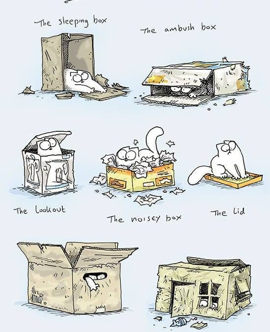 Guía de la caja del gato de Simon