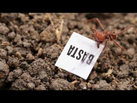 Ant Protest - Ameisen protestieren!