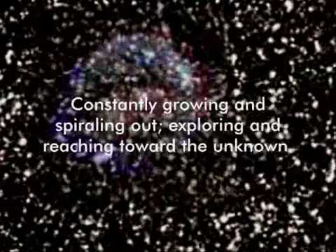 DBD: Lateralus – Tool