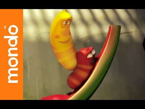 Larva – Watermelon