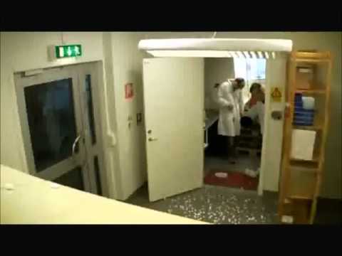 FUS RO DAH! in Real Life