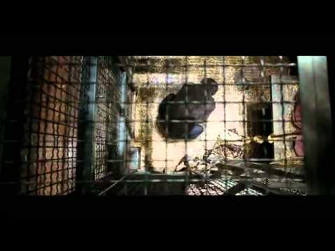 Rise of the Planet of the Apes – Neuer Trailer