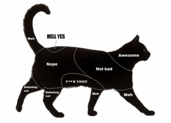 Karte zum Streicheln einer Katze - Petting Chart For Cats