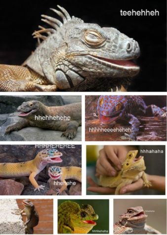 Tell A Joke To A Reptile