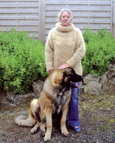 Uld fra hunde - Wool of the Dog