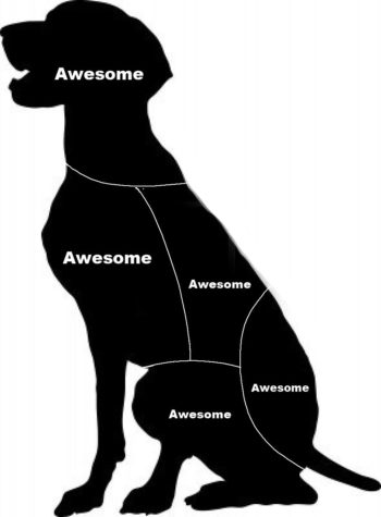 Karte zum Streicheln eines Hundes - Petting Chart For Dogs