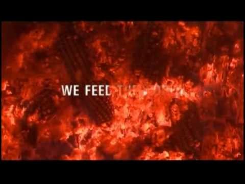 We Feed the World – Essen global