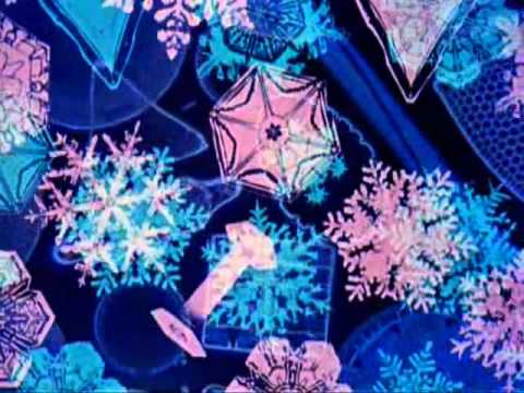 Donald Duck in Mathmagic Land