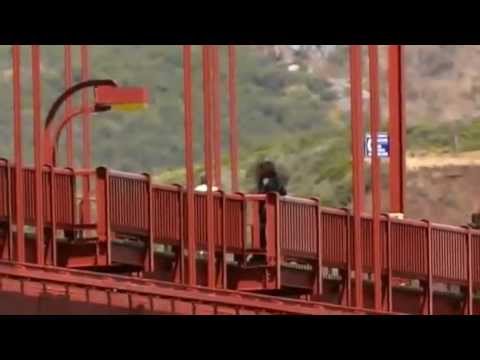 Selvmord på Golden Gate Bridge