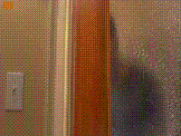 When I am asked to continue work of a newbie colleague