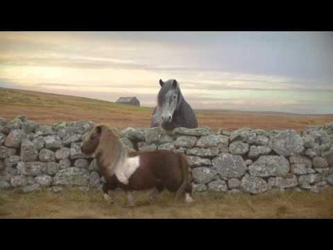 Three – The Moonwalking Pony
