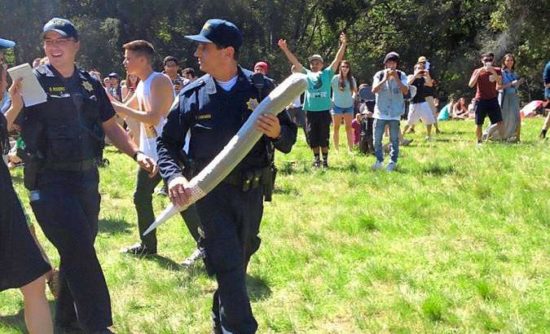 Festival della cannabis: la polizia confisca 1 kg di canna XXL