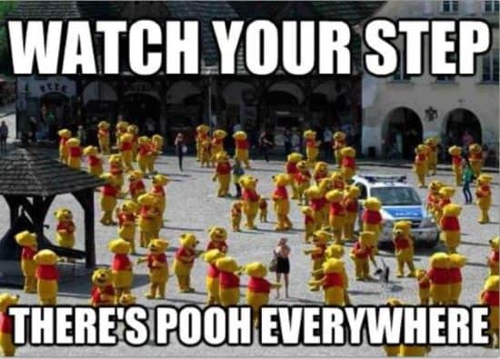 Pooh Everywhere