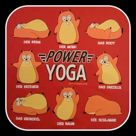 Power jóga