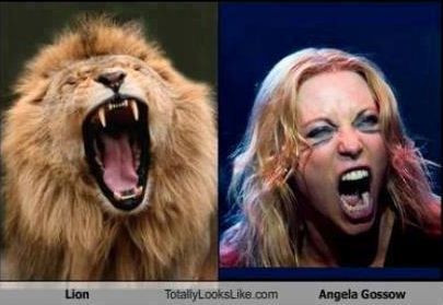 Vorsicht Verwechslungsgefahr! (85)