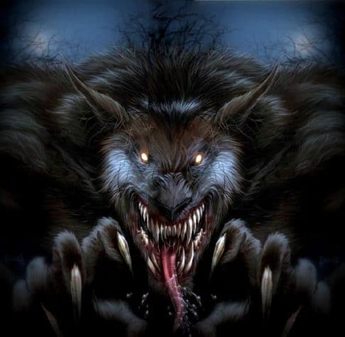 Vollmond und das Tier erwacht!