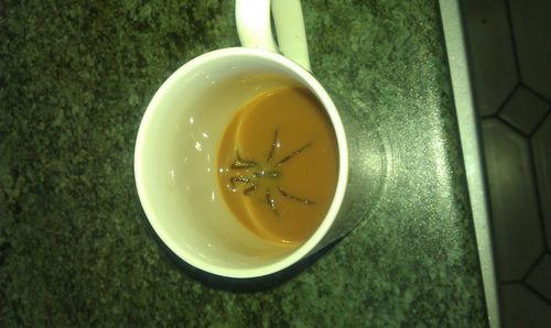 Er kaffe sunn? Sannsynligvis ikke for edderkopper!
