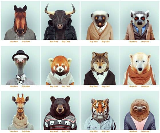portreti živalskega vrta