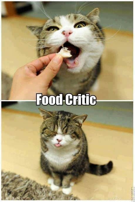 Food Critic