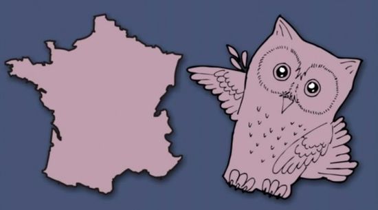 Frankreich - Eule