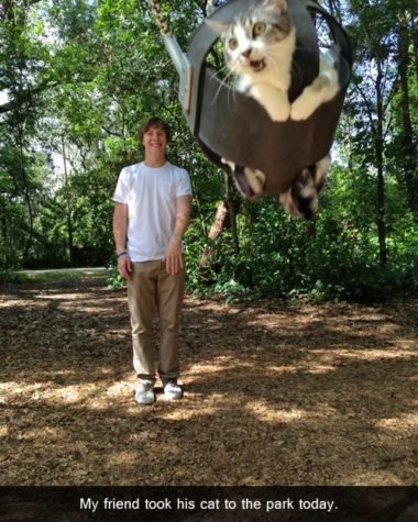 Neulich war ich mit der Katze im Park